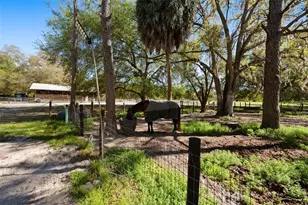 15311 SW 107th St, Archer, FL 32618 - Photo 23