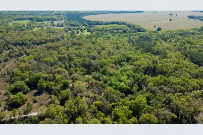 15311 SW 107th Street, Archer, FL 32618 - Photo 53