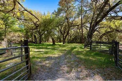 15311 SW 107th Street, Archer, FL 32618 - Photo 5