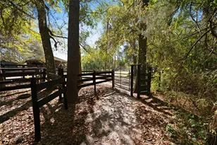 15311 SW 107th St, Archer, FL 32618 - Photo 11