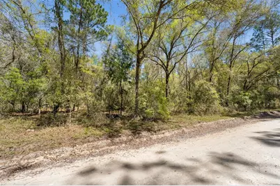 0 SE 91st Trail, Trenton, FL 32693 - Photo 11