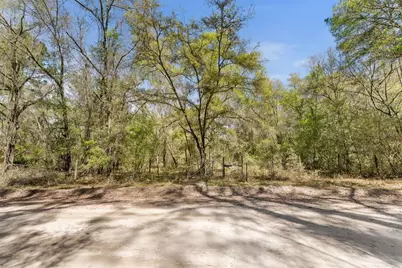 0 SE 91st Trail, Trenton, FL 32693 - Photo 11