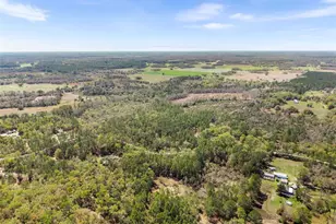 0 SE 91st Trail, Trenton, FL 32693 - Photo 1