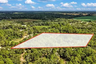 0 SE 91st Trail, Trenton, FL 32693 - Photo 1