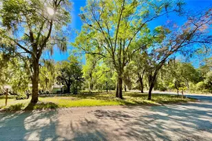 Lot 2 SE 16th St, Melrose, FL 32666 - Photo 5