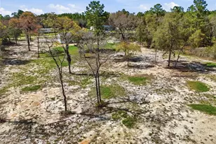 2231 SE 132nd Ct, Morriston, FL 32668 - Photo 37