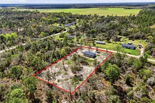 2231 SE 132nd Ct, Morriston, FL 32668 - Photo 41