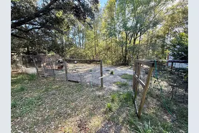 14051 NE 45th Place, Williston, FL 32696 - Photo 9