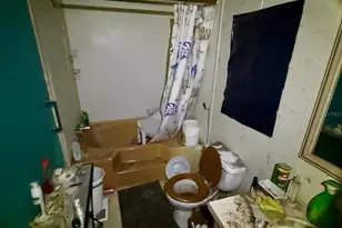 14051 NE 45th Pl, Williston, FL 32696 - Photo 21