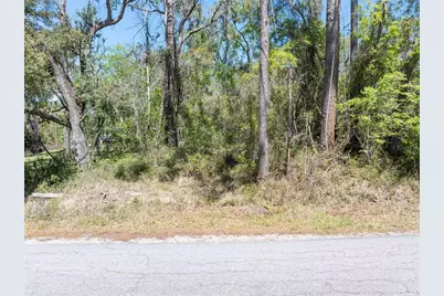 9311 86th Street, Live Oak, FL 32060 - Photo 3