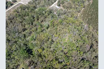 9311 86th Street, Live Oak, FL 32060 - Photo 7