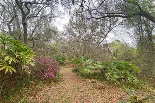 119 Twin Lakes Rd, Hawthorne, FL 32640 - Photo 59