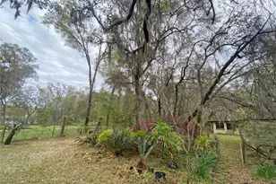 119 Twin Lakes Rd, Hawthorne, FL 32640 - Photo 39