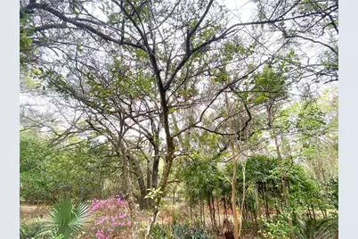 119 Twin Lakes Road, Hawthorne, FL 32640 - Photo 13