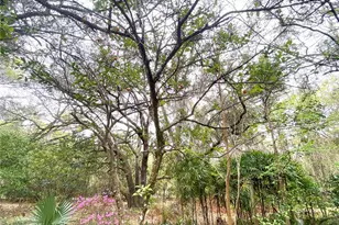 119 Twin Lakes Rd, Hawthorne, FL 32640 - Photo 13