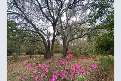 119 Twin Lakes Road, Hawthorne, FL 32640 - Photo 9