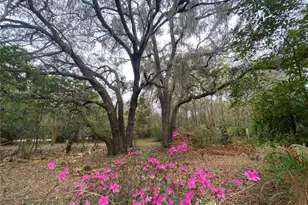 119 Twin Lakes Rd, Hawthorne, FL 32640 - Photo 9