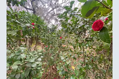 119 Twin Lakes Road, Hawthorne, FL 32640 - Photo 11