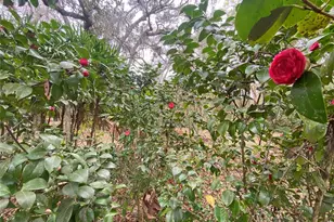 119 Twin Lakes Rd, Hawthorne, FL 32640 - Photo 11