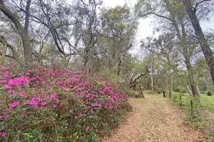 119 Twin Lakes Rd, Hawthorne, FL 32640 - Photo 19