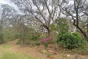 119 Twin Lakes Rd, Hawthorne, FL 32640 - Photo 15