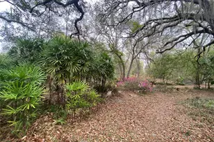 119 Twin Lakes Rd, Hawthorne, FL 32640 - Photo 65