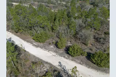 000 NE 64th Place, Williston, FL 32696 - Photo 7