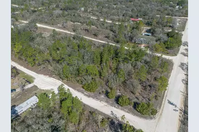 000 NE 64th Place, Williston, FL 32696 - Photo 9