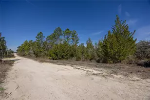 000 NE 64th Pl, Williston, FL 32696 - Photo 1