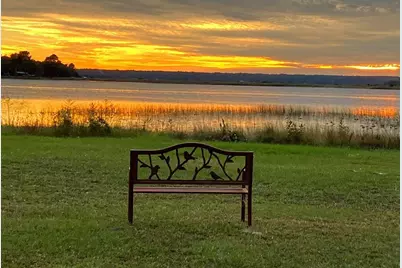 25079 NE 140th Loop, Salt Springs, FL 32134 - Photo 23