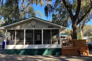 25079 NE 140th Loop, Salt Springs, FL 32134 - Photo 1