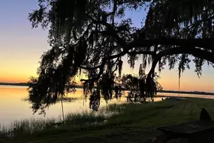 25079 NE 140th Loop, Salt Springs, FL 32134 - Photo 21