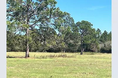 14182 SW 161st St, Brooker, FL 32622 - Photo 5