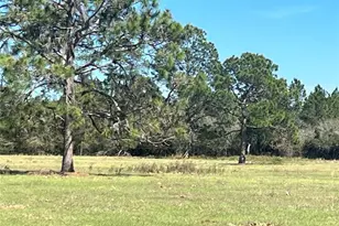 14182 SW 161st St, Brooker, FL 32622 - Photo 5