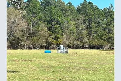 14182 SW 161st St, Brooker, FL 32622 - Photo 3