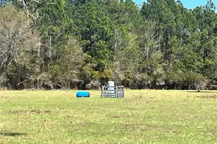 14182 SW 161st St, Brooker, FL 32622 - Photo 3