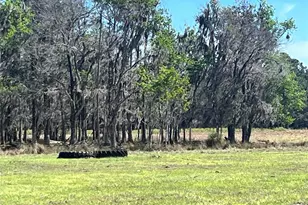 14182 SW 161st St, Brooker, FL 32622 - Photo 7