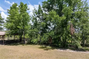 15527 194th Pl, O'Brien, FL 32071 - Photo 31