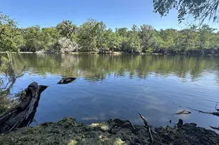 2410 NW 117th Pl, Branford, FL 32008 - Photo 3