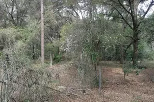 2410 NW 117th Pl, Branford, FL 32008 - Photo 53