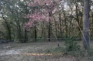 2410 NW 117th Pl, Branford, FL 32008 - Photo 51