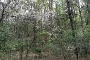 2410 NW 117th Pl, Branford, FL 32008 - Photo 55