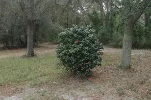 2410 NW 117th Pl, Branford, FL 32008 - Photo 47