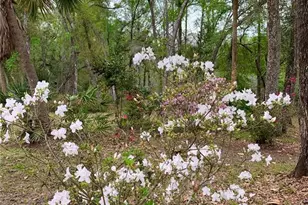 11651 NW 127th Ln, Chiefland, FL 32626 - Photo 15