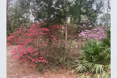 11651 NW 127 Lane, Chiefland, FL 32626 - Photo 5