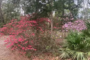 11651 NW 127th Ln, Chiefland, FL 32626 - Photo 5