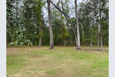 11651 NW 127 Lane, Chiefland, FL 32626 - Photo 9