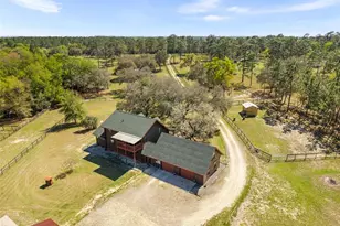 13791 SE 30th St, Morriston, FL 32668 - Photo 59