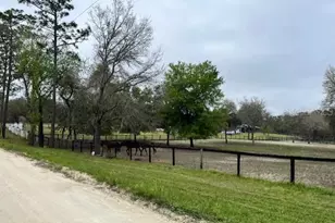 14890 SE 20 St, Morriston, FL 32668 - Photo 15