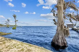 108 Sandra Ln, Crescent City, FL 32112 - Photo 45